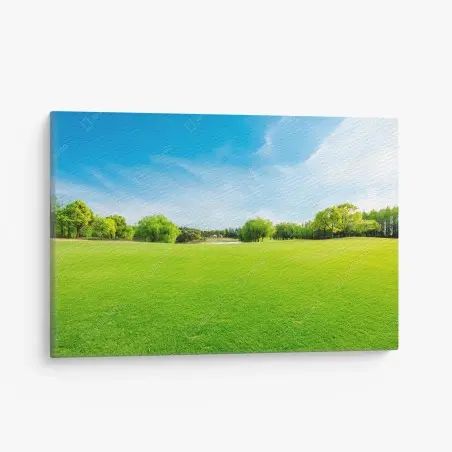 Leinwandbild friedliche grüne wiese unter blauem himmel – Pixers®