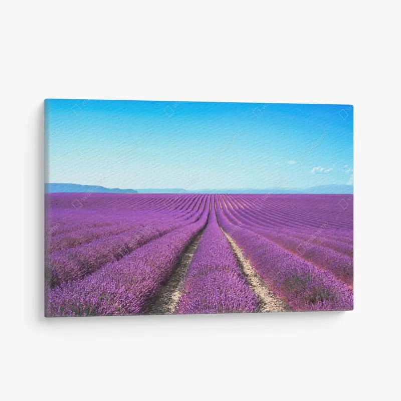 Leinwandbild lavendelfelder unter blauem himmel