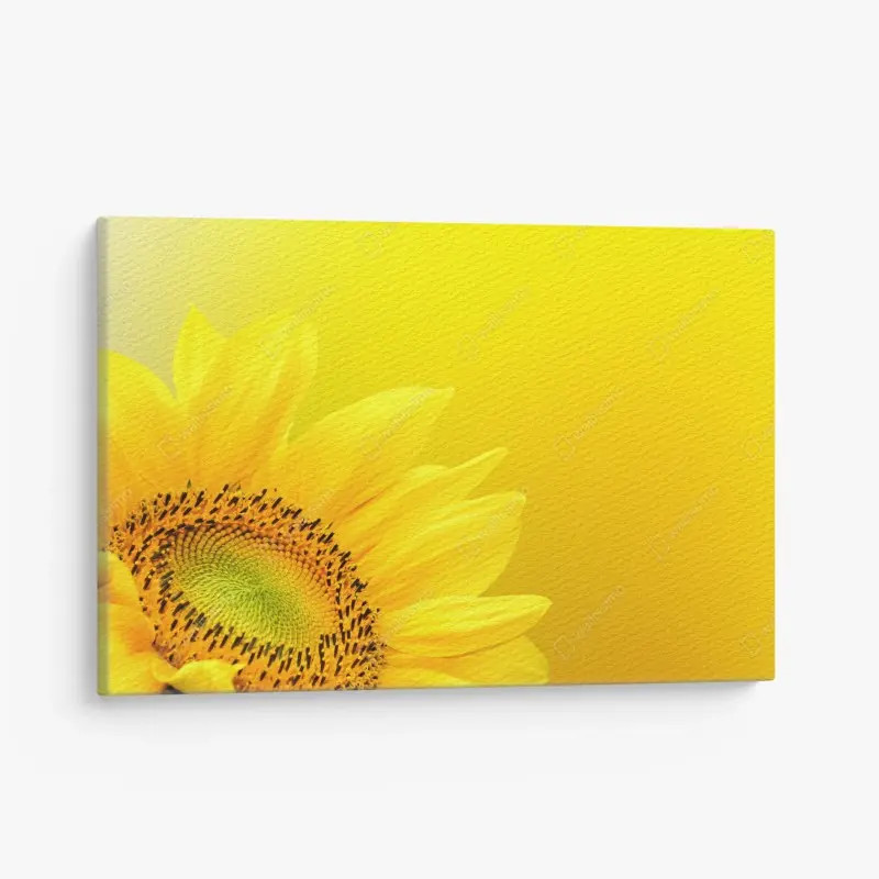 Leinwandbild leuchtende sonnenblume nahaufnahme auf gelbem hintergrund