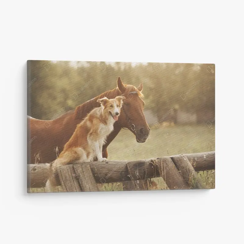 Leinwandbild sonnige gefährten: hund und pferd