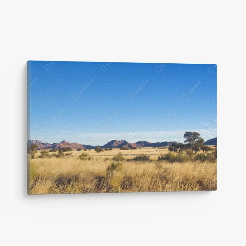 Leinwandbild ruhige savannenlandschaft unter klarem blauem himmel
