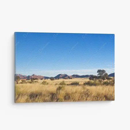 Leinwandbild ruhige savannenlandschaft unter klarem blauem himmel – Pixers®