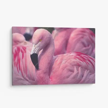 Leinwandbild rosa flamingo-porträt – Pixers®
