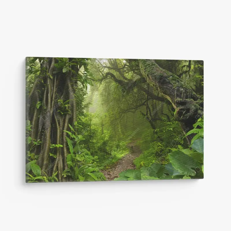 Leinwandbild üppiger nebliger waldpfad