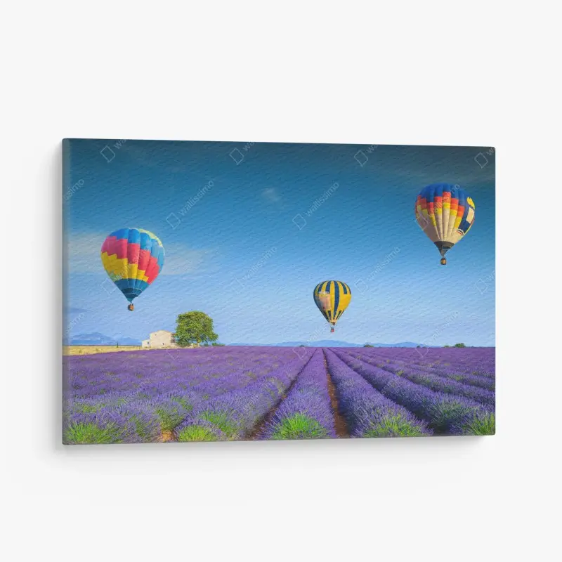 Leinwandbild lavendelfelder bei Valensole mit luftballons