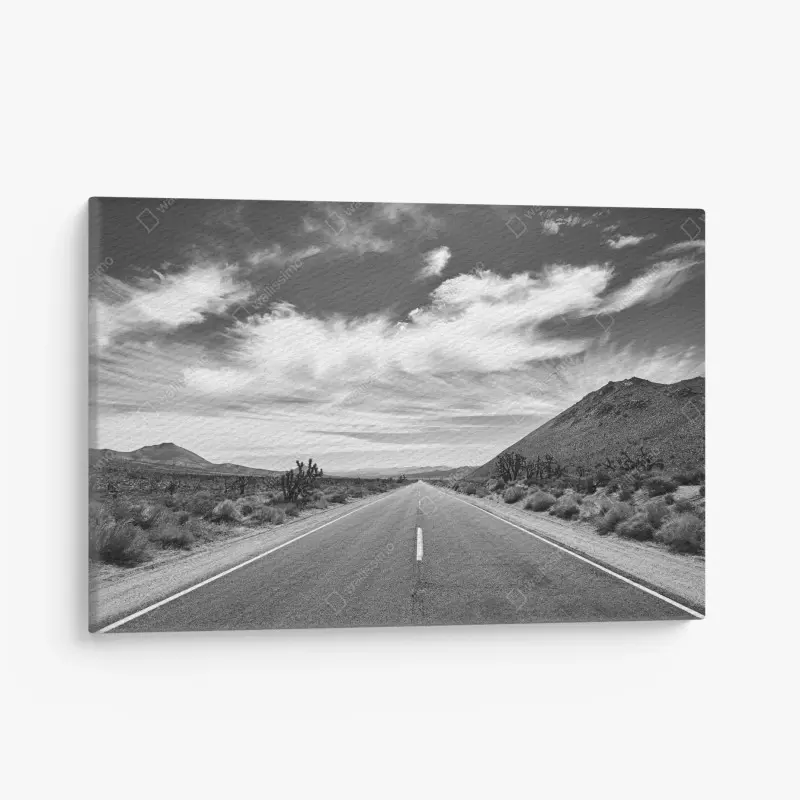 Leinwandbild Death Valley offene Straße in schwarzweiß