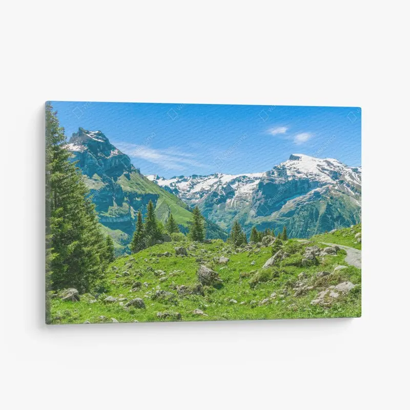 Leinwandbild sonnige alpwiese in Engelberg