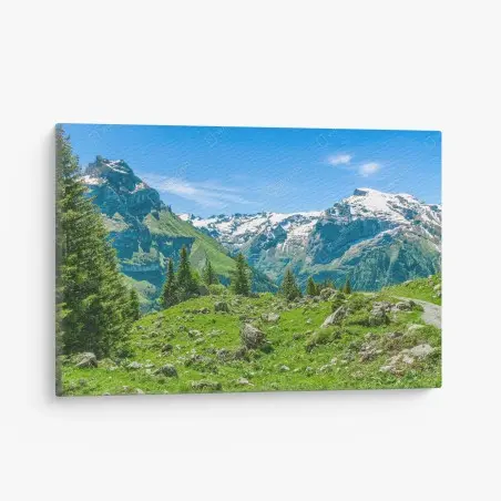 Leinwandbild sonnige alpwiese in Engelberg – Pixers®