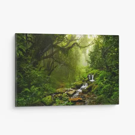 Leinwandbild üppiger nebliger waldwasserfall – Pixers®