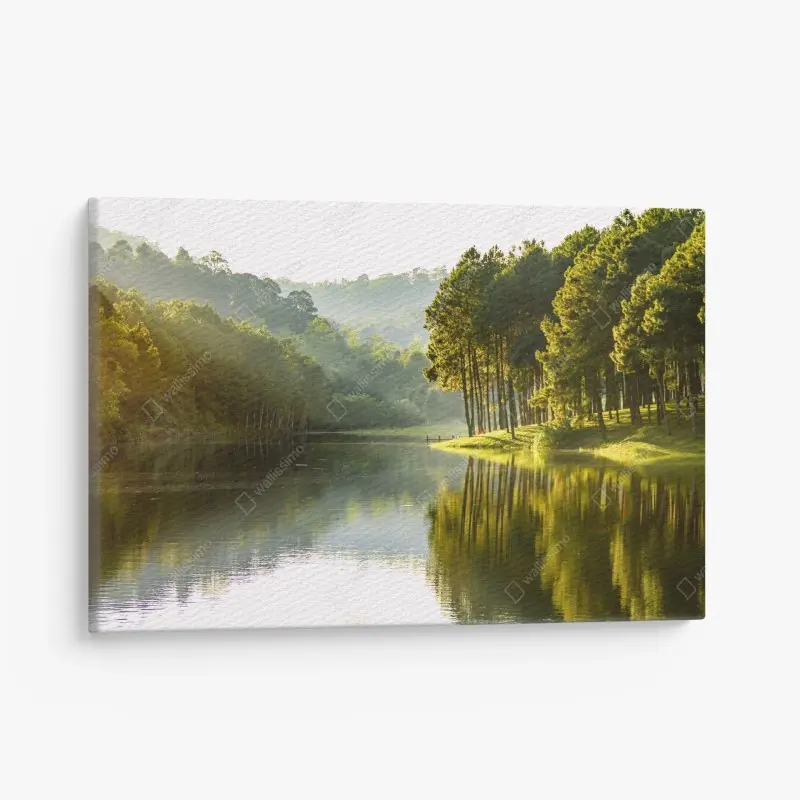 Leinwandbild ruhiger kiefernwald am stillen see