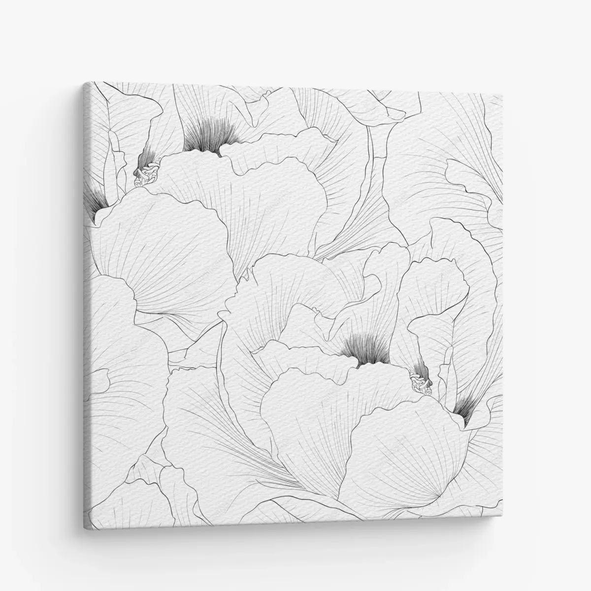 Leinwandbild feine botanische linienzeichnung mit blumen – Pixers®