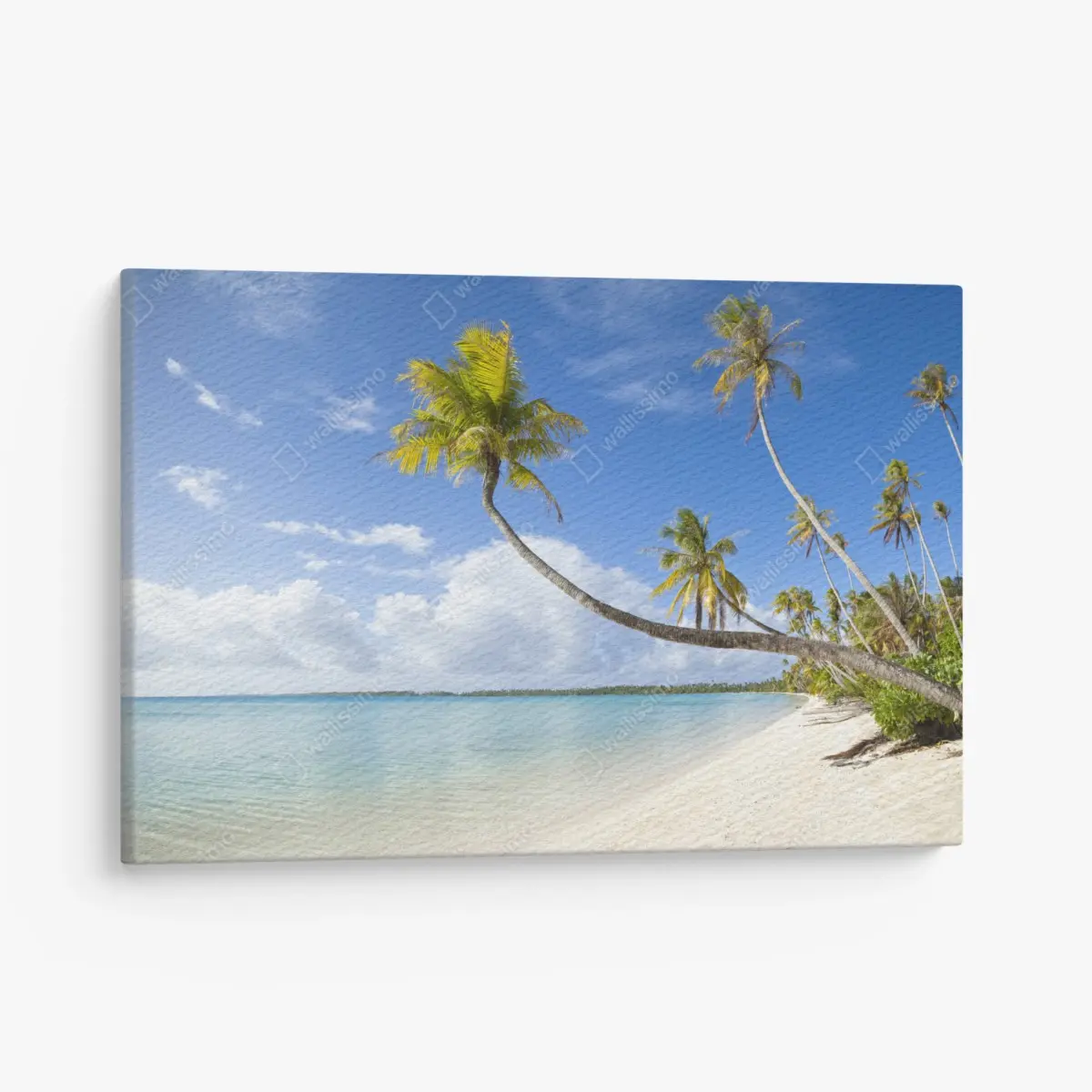 Leinwandbild tropischer türkisblauer strand mit geneigter palme – Pixers®