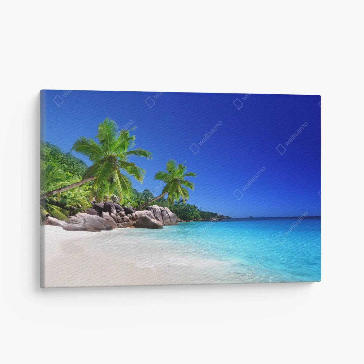 Leinwandbild tropischer strand mit türkisfarbenem wasser und palmen – Pixers®
