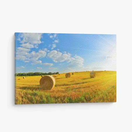 Leinwandbild goldenes heufeld unter blauem himmel – Pixers®