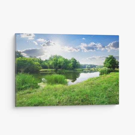 Leinwandbild sonnige wiese am fluss – Pixers®