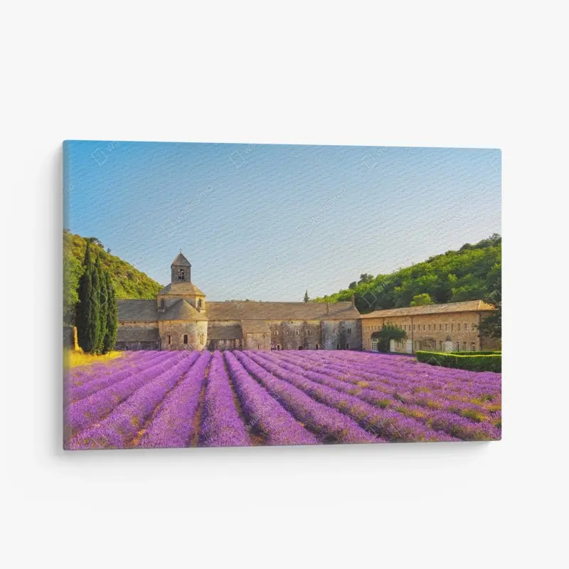 Leinwandbild lavendelfelder bei Abtei Sénanque, Provence