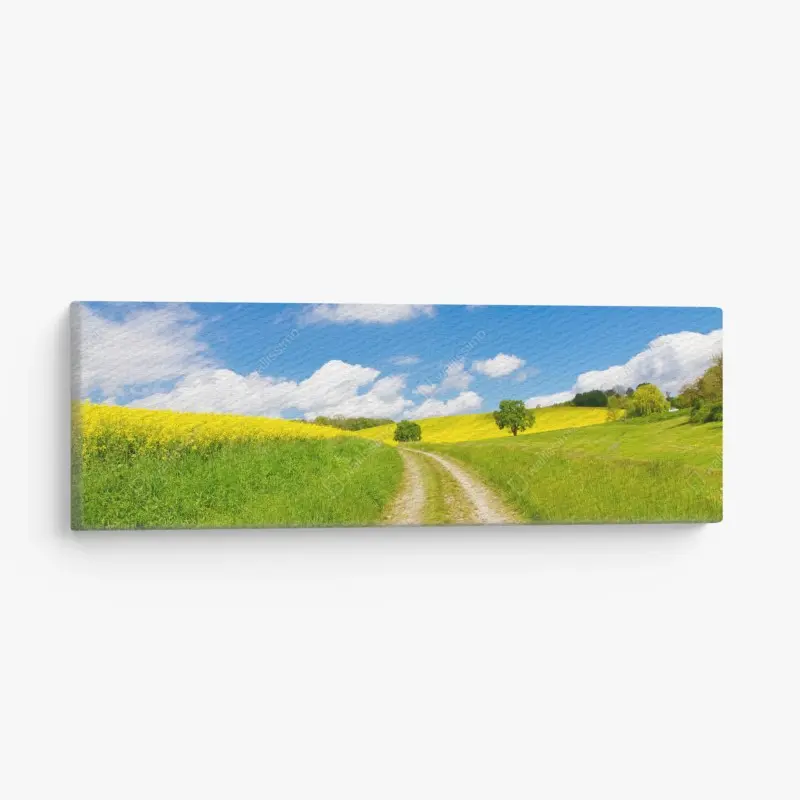 Leinwandbild sonniger landeweg durch gelbe felder