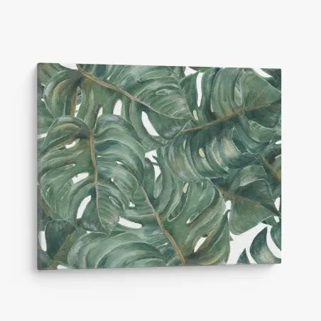 Leinwandbild monstera blätter in aquarell – Pixers®