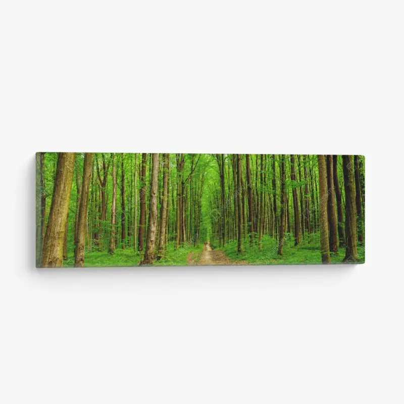 Leinwandbild grüner waldweg im frühling