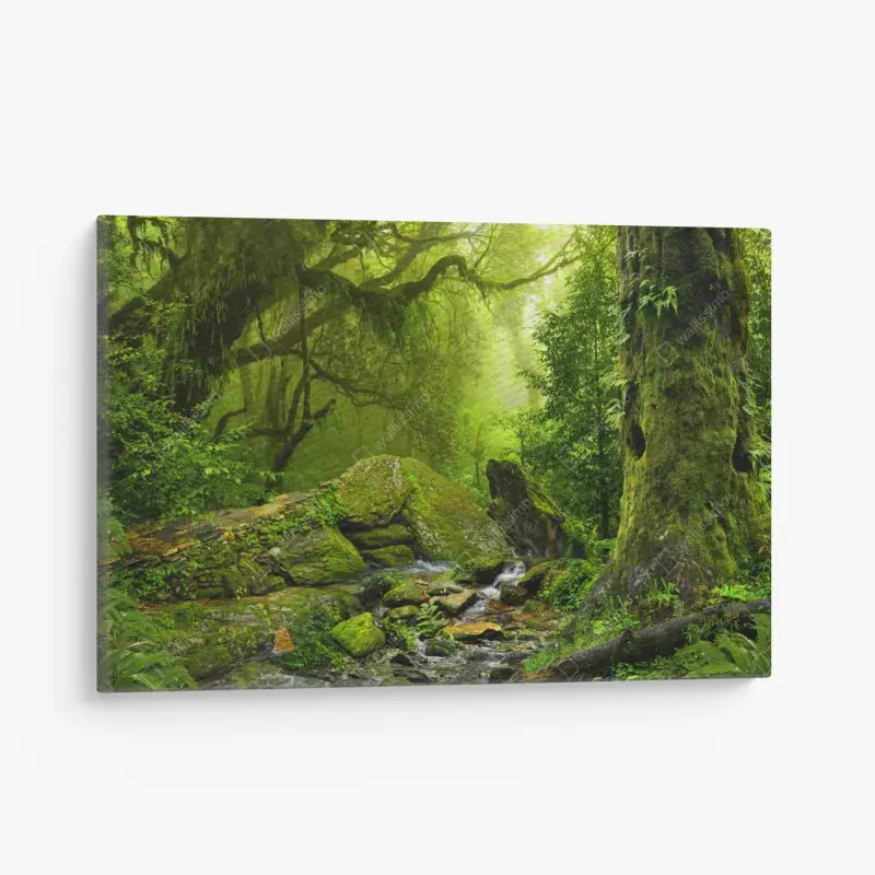 Leinwandbild moosbedeckter waldbach