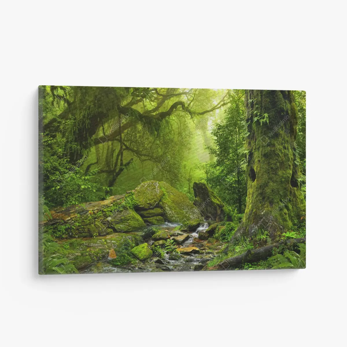 Leinwandbild moosbedeckter waldbach – Pixers®