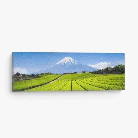 Leinwandbild üppige teefelder am fuß von Mount Fuji – Pixers®