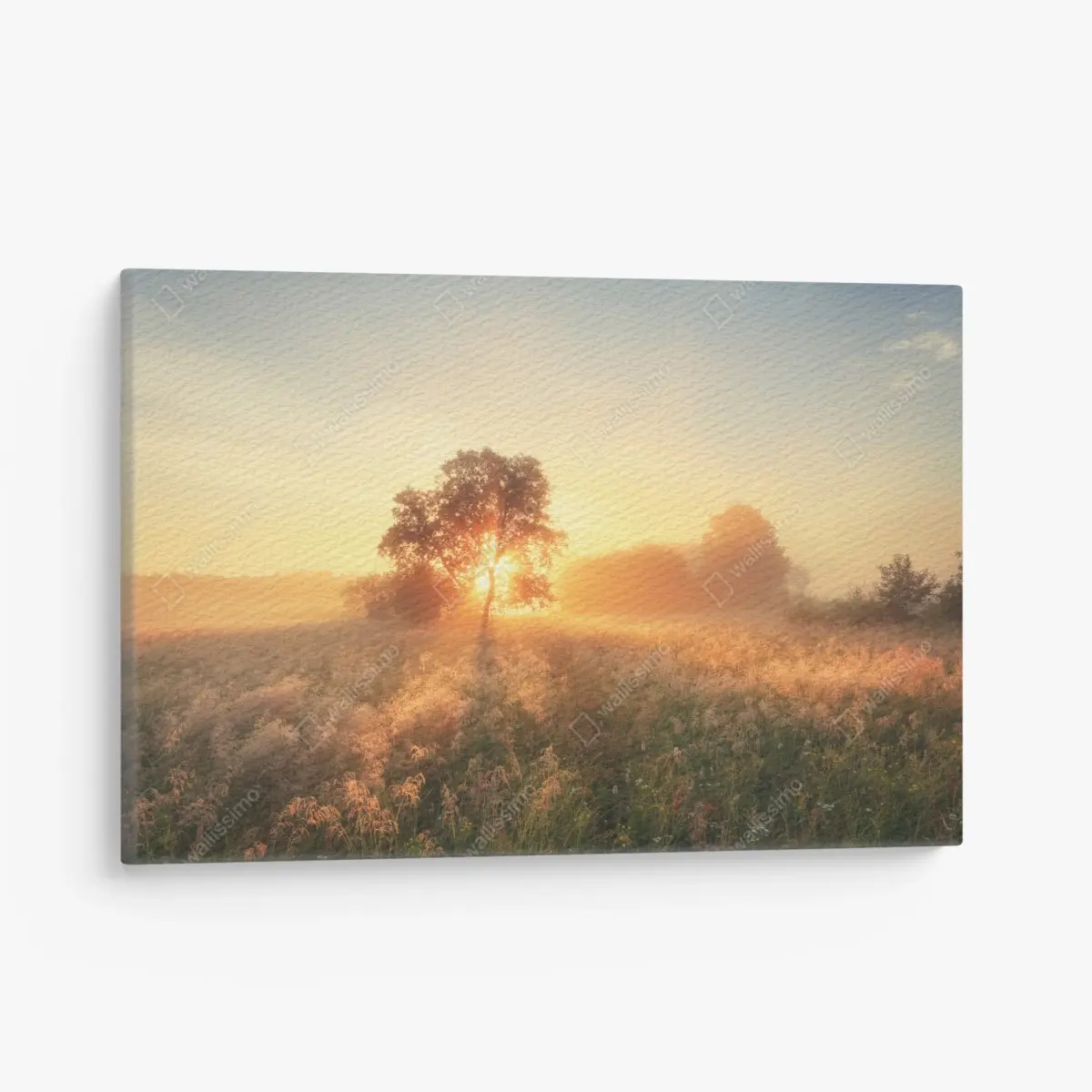 Leinwandbild goldener sonnenaufgang über nebliger wiese – Pixers®