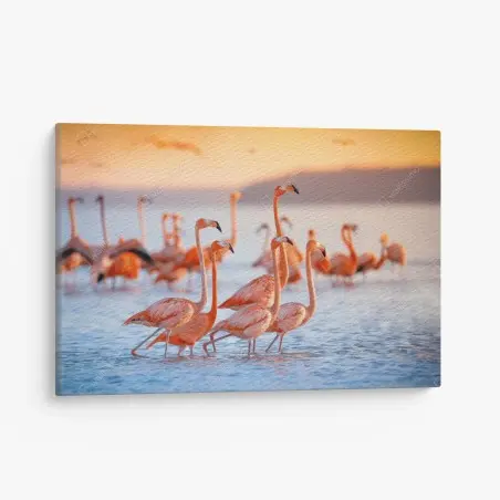 Leinwandbild rosa flamingos bei sonnenuntergang – Pixers®