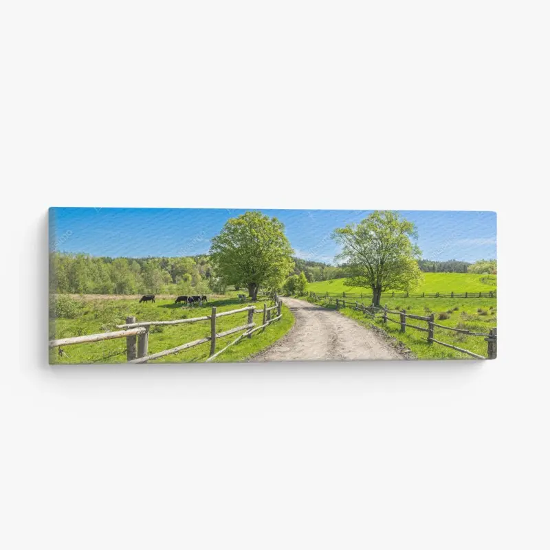 Leinwandbild sonnige landstraße durch grüne wiesen