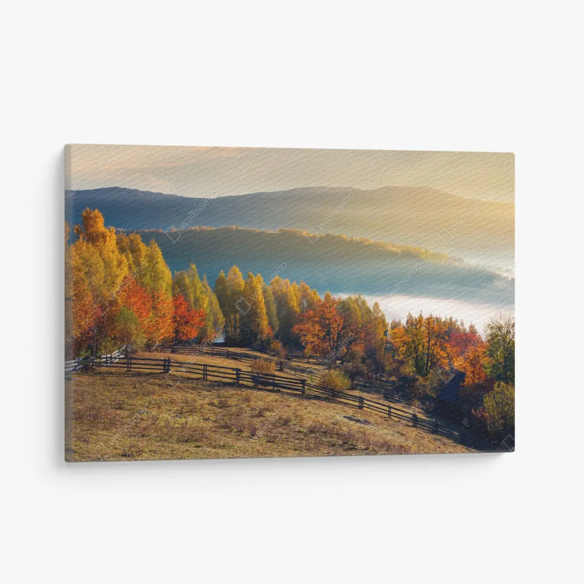 Leinwandbild nebliger herbstlicher sonnenaufgang auf dem land – Pixers®