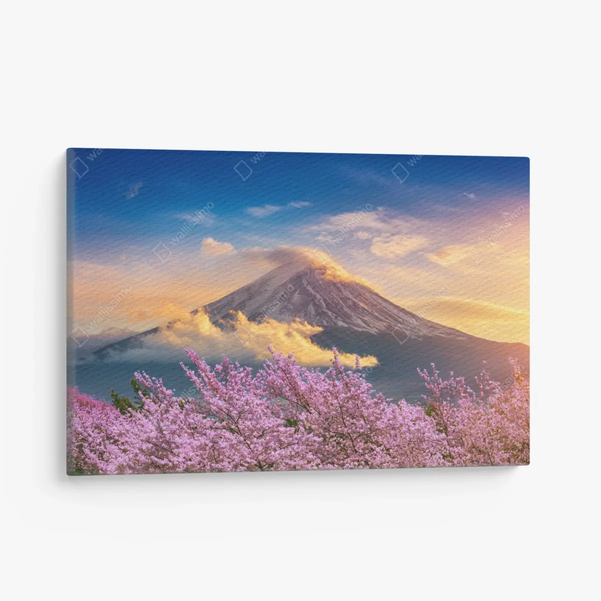 Leinwandbild Berg Fuji mit blühenden kirschblüten bei sonnenaufgang – Pixers®