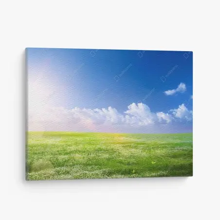 Leinwandbild sonnige frühlingswiese unter blauem himmel – Pixers®