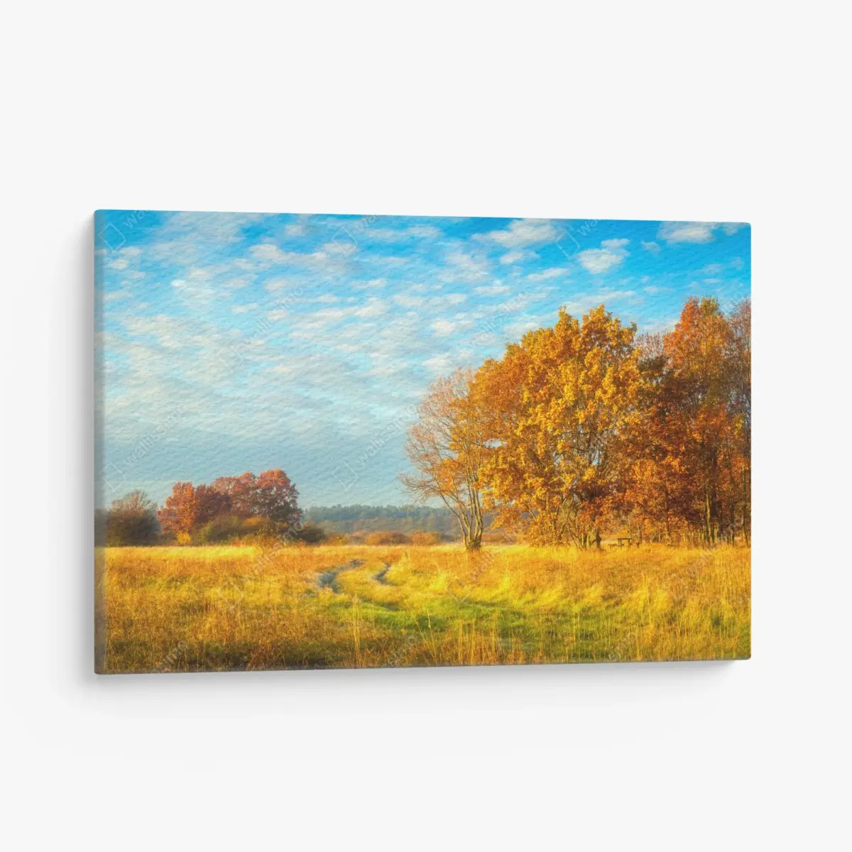 Leinwandbild goldene herbstwiese – Pixers®
