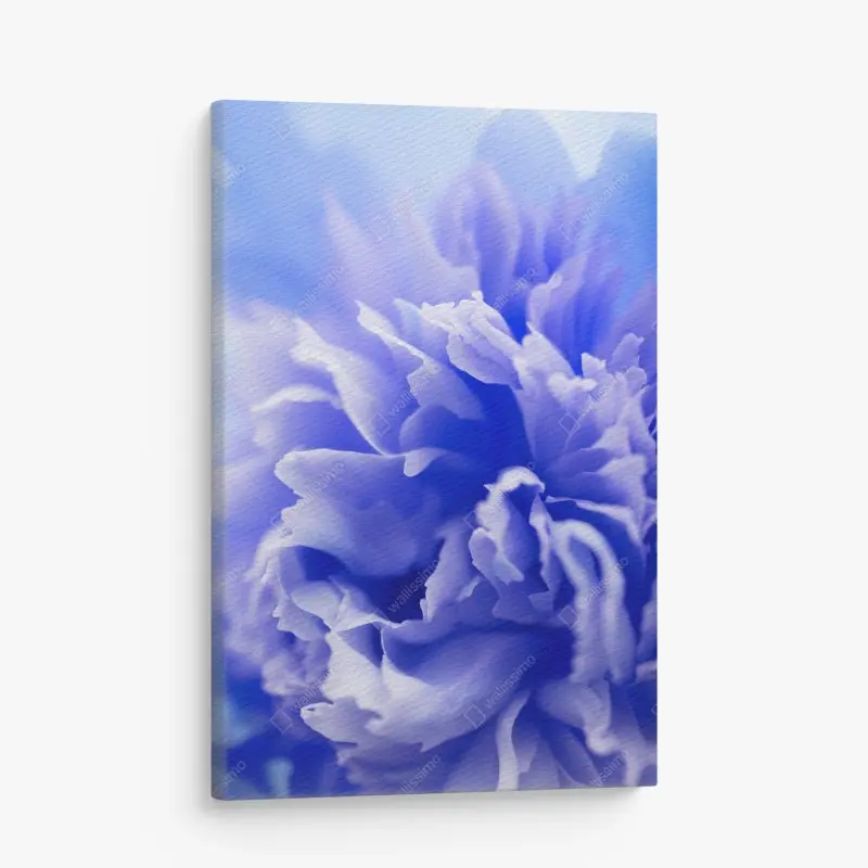 Leinwandbild sanfte blaue abstrakte blume nahaufnahme