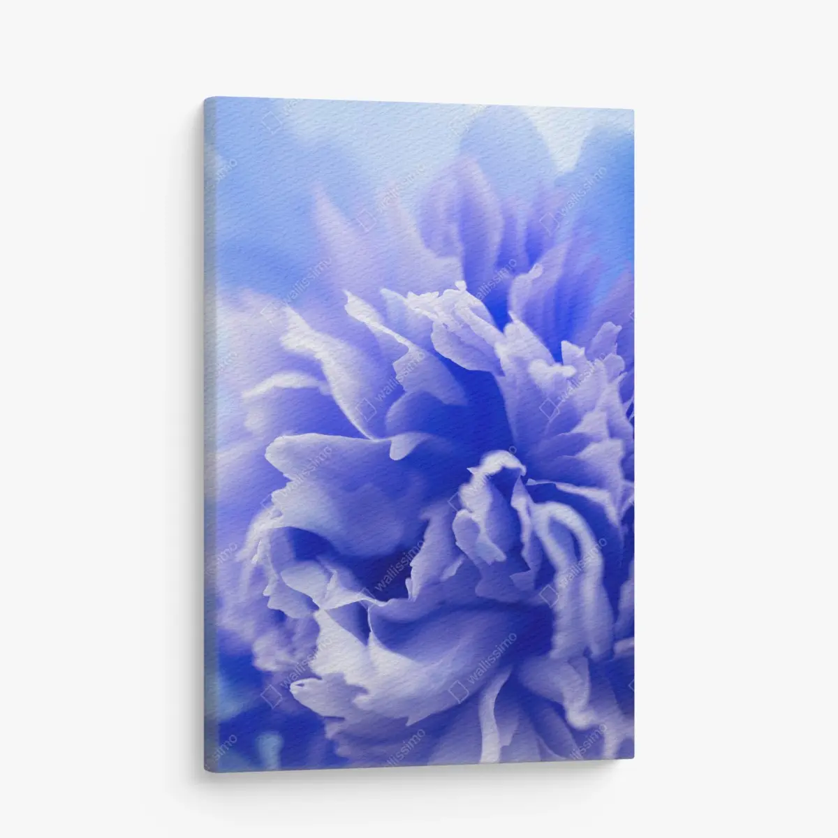 Leinwandbild sanfte blaue abstrakte blume nahaufnahme – Pixers®