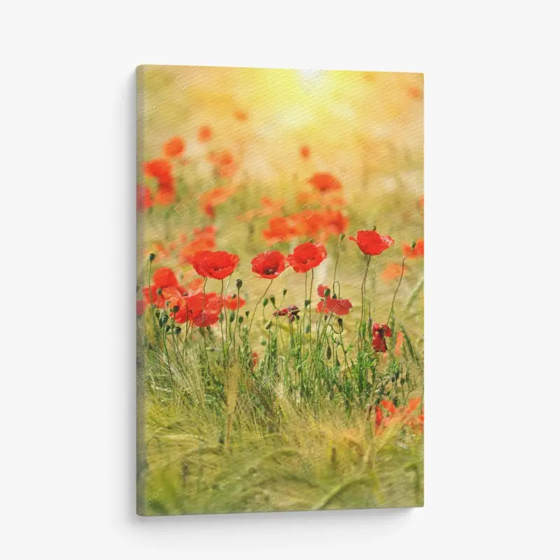 Leinwandbild rote mohnwiese im sonnenlicht
