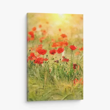 Leinwandbild rote mohnwiese im sonnenlicht – Pixers®