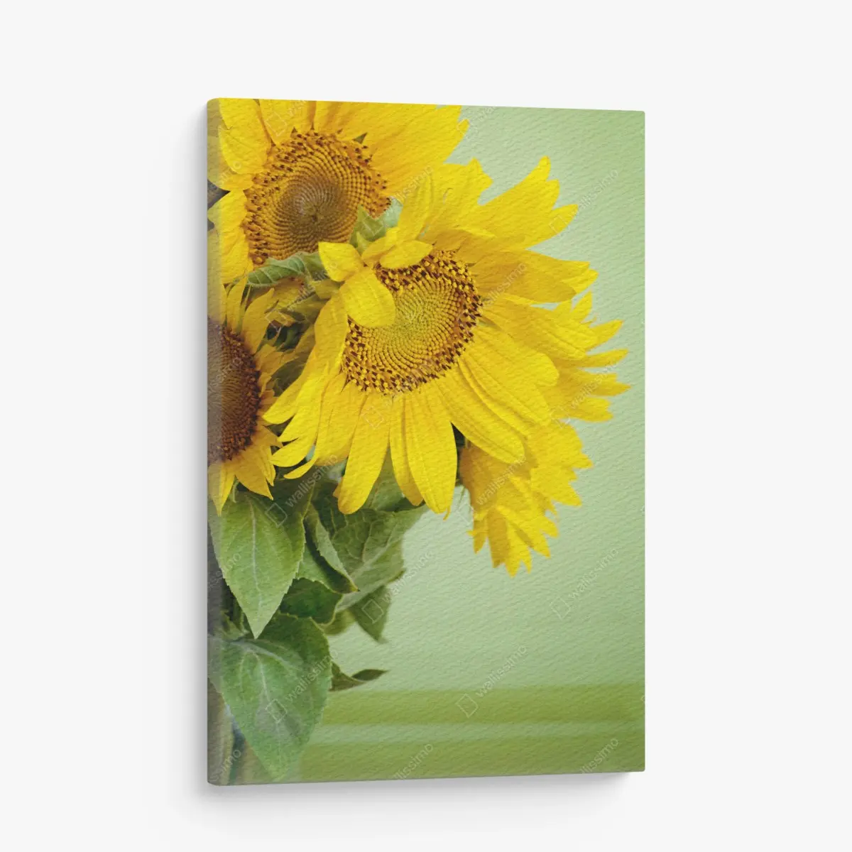 Leinwandbild heller sonnenblumenstrauß auf grünem hintergrund – Pixers®