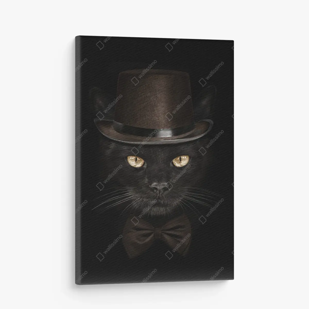 Leinwandbild elegante schwarze katze mit zylinder und fliege – Pixers®