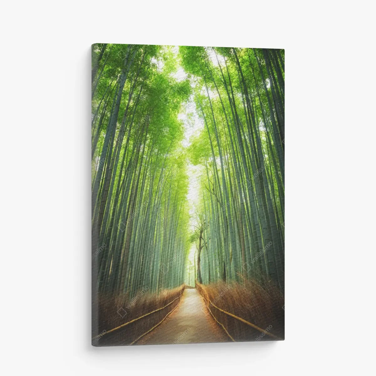 Leinwandbild weg durch den bambushain von Arashiyama – Pixers®