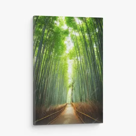 Leinwandbild weg durch den bambushain von Arashiyama – Pixers®