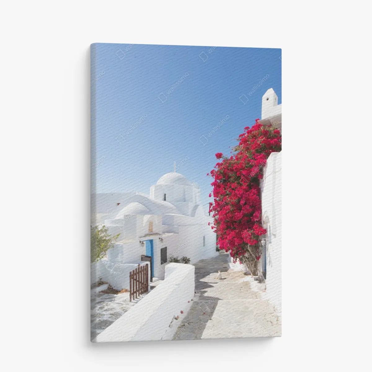 Leinwandbild sonnige gasse auf der insel mit leuchtender buganvillea – Pixers®
