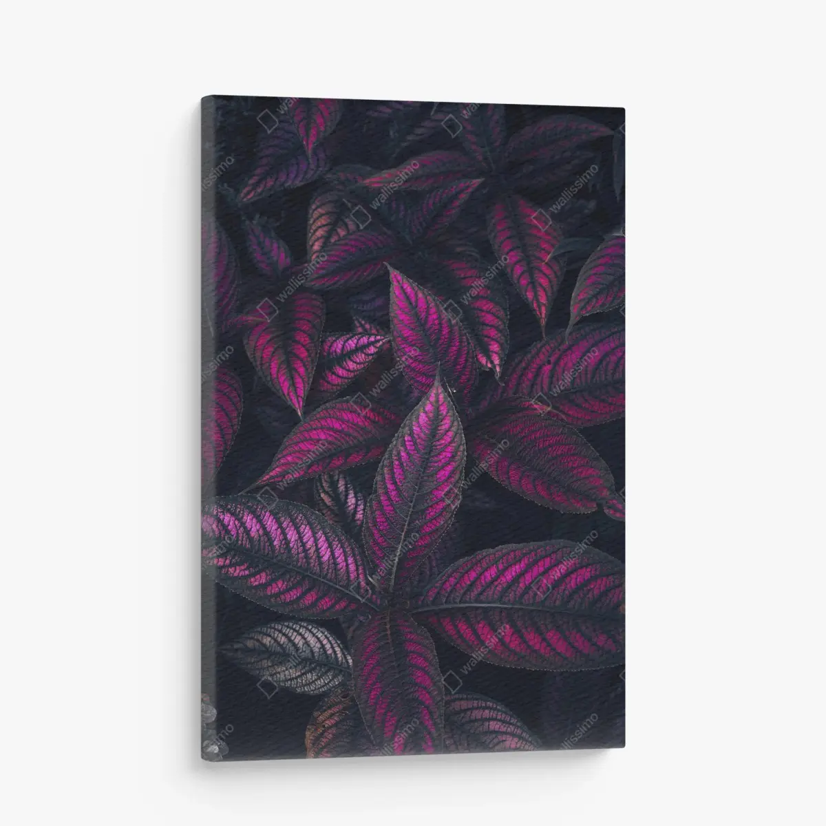 Leinwandbild leuchtendes violettes blättermotiv – Pixers®