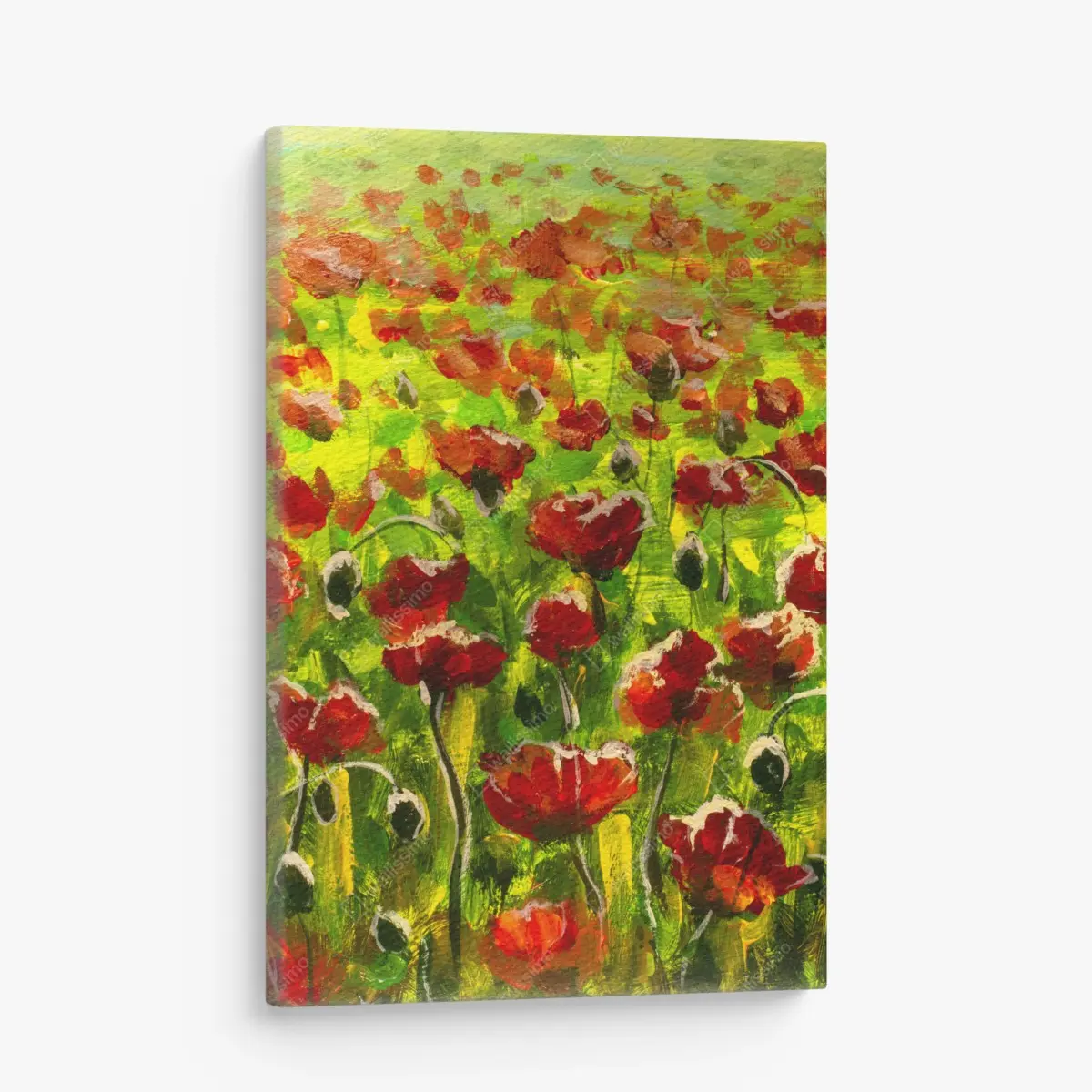 Leinwandbild feld roter mohnblumen – Pixers®