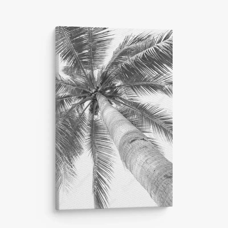 Leinwandbild monochrome palme aus der froschperspektive