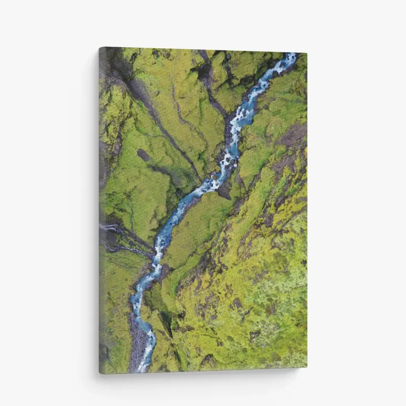 Leinwandbild luftaufnahme: fluss in moosbedeckter schlucht