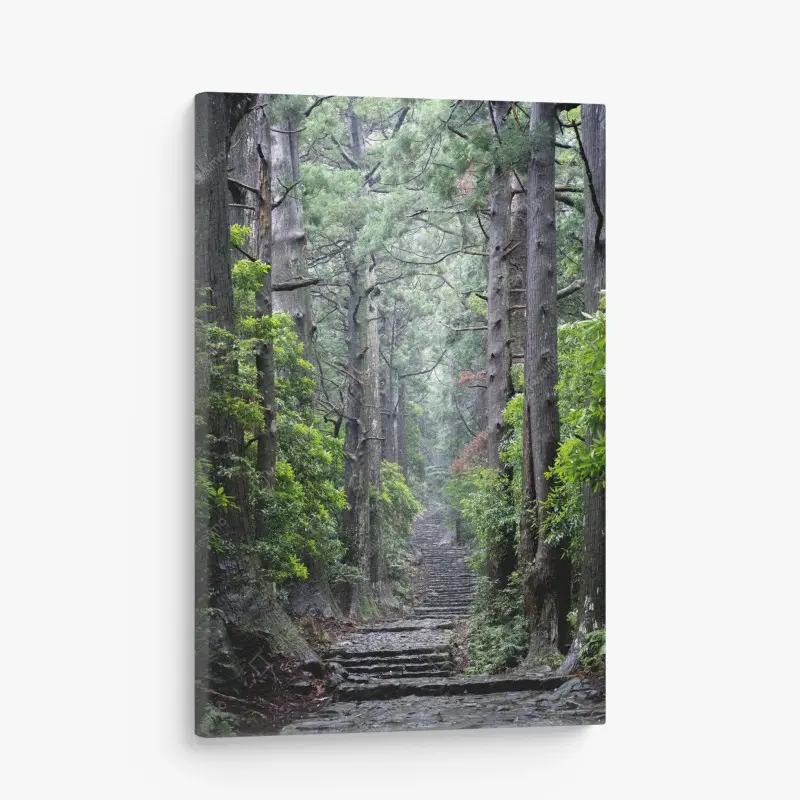 Leinwandbild mystischer waldweg zwischen alten bäumen