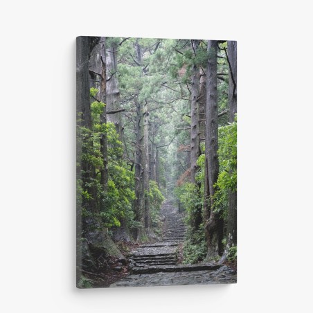 Leinwandbild mystischer waldweg zwischen alten bäumen – Pixers®