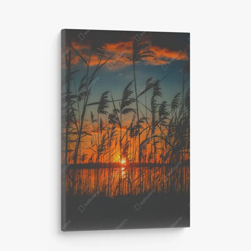 Leinwandbild sonnenuntergang am see mit schilf-silhouette