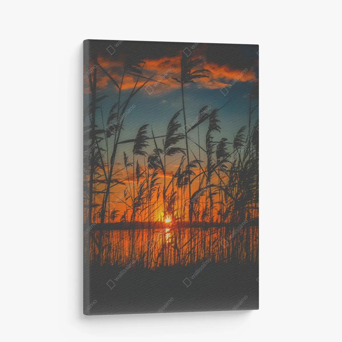 Leinwandbild sonnenuntergang am see mit schilf-silhouette – Pixers®